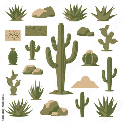Diverse collection of desert plants, including various cacti, succulents, and desert elements. Ideal for design projects.