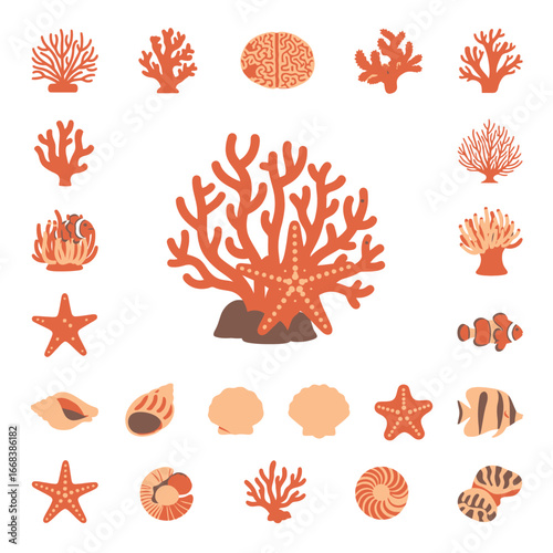 Colorful illustration of coral reef with starfish, clownfish, and various shells.