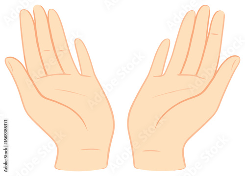 Open hands symbol | gesture representation | giving, receiving, support, unity vector