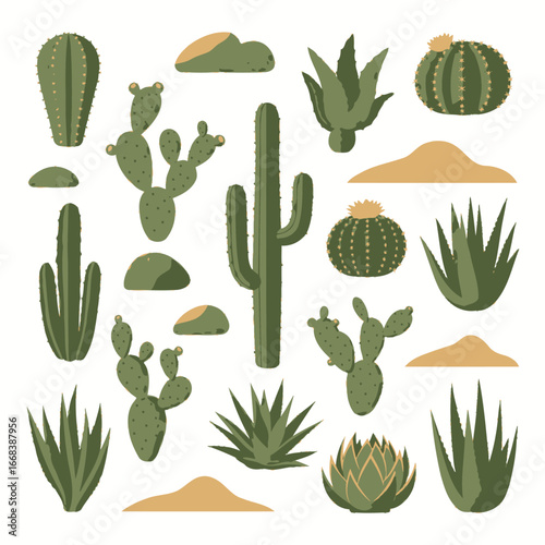 Collection of desert plants, including various cacti and succulents.