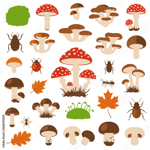 Colorful illustration of various mushrooms, insects, and leaves, perfect for autumnal designs.