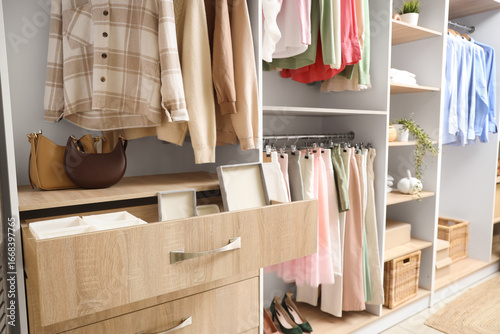 Modern walk-in closet organ...