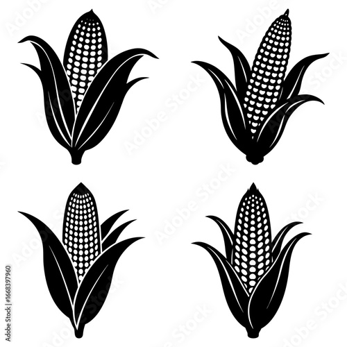 Four black and white corn cobs with husks in varying positions on a white background illustration design