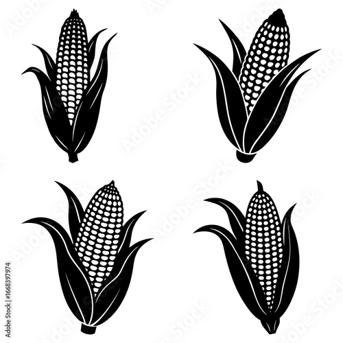 Four black and white corn cobs with husks arranged in a square pattern on a white background image