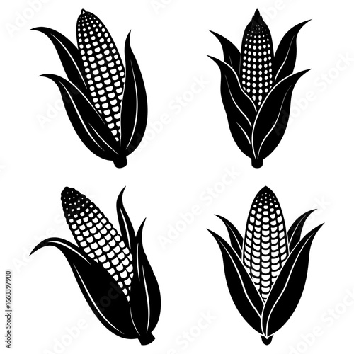 Four black and white corn cobs with husks in a symmetrical arrangement on a white background
