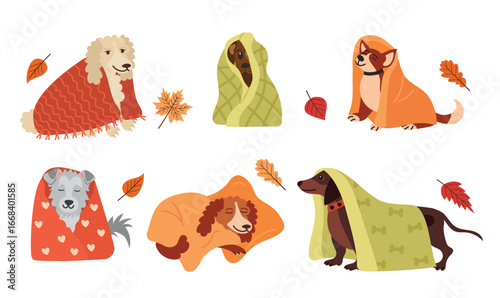 Dog characters in blankets, vector illustration set. Autumn or pet concept
