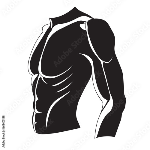 Illustration of a muscular male torso with defined abs and chest