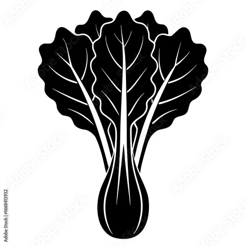 black and white flowers