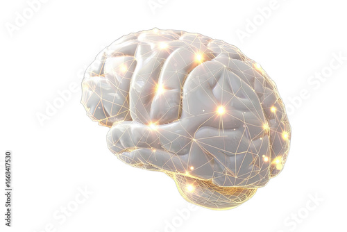 3D rendered brain with glowing neural network