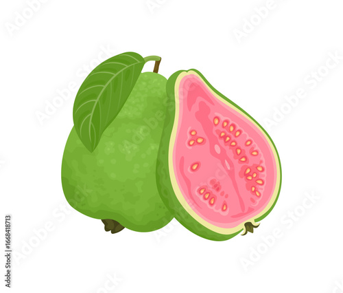 Green guava whole fruit and half with pink fruit pulp isolated on  white background. Vector cartoon flat illustration.
