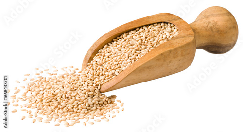 Cuadro en lienzo Roasted sesame in the wooden scoop, isolated on white background.