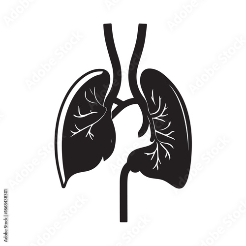 Vector art of black and white illustration of human lungs