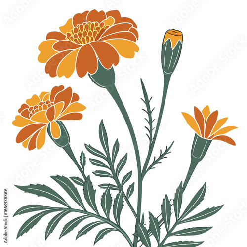 Beautiful marigold flowers with leaves