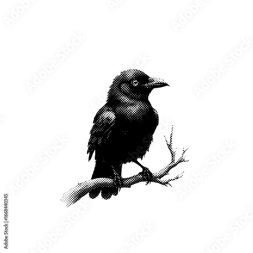 Halloween clipart, spooky illustrations, Halloween graphics, skull and roses, black cat clipart, ghost clipart, creepy pumpkin design, Halloween vector, spooky skull, dark art, bat clipart, devil char