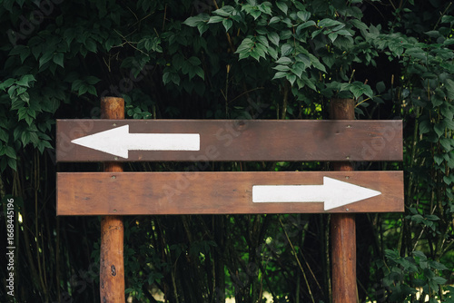 Wallpaper Mural Wooden signpost with two opposite arrows. Blank direction board in natural park environment. Empty guidepost template for navigation and travel. Rustic wooden information sign in forest background. Torontodigital.ca