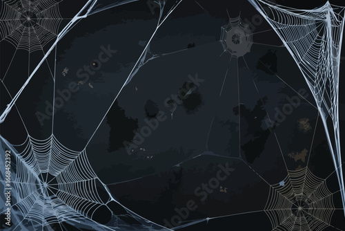 Spiderwebs in the Night: Intriguing close-up of intricate spiderwebs create an eerie and mysterious ambiance, weaving a web of fascination under the cloak of the night. 