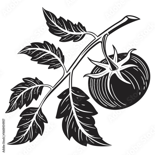 black and white vector illustration of a plant