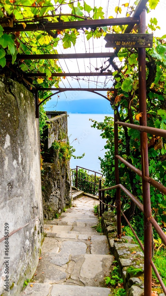 Naklejka premium Stone path leading to a lake view, lush plants