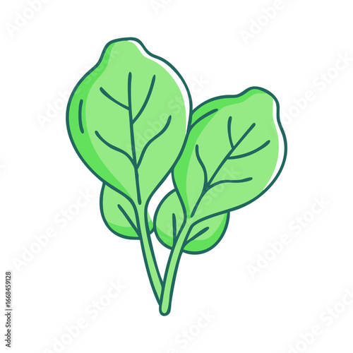 Fresh spinach leaves in a simple cartoon style illustration vector design