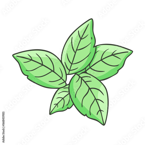 Cartoon Basil Leaves Icon for Culinary Herbs and Italian Cuisine Design