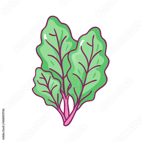 Fresh and vibrant chard vector illustration with lush green leaves