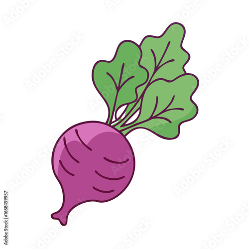 Cartoon Style Beetroot Illustration with Fresh Green Leaves on White Background