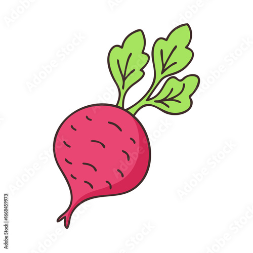 Stylized cartoon vector image of a fresh, crisp, and vibrant radish