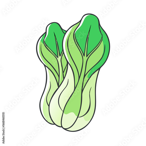 Two Bok Choy vegetables standing next to each other on a white background