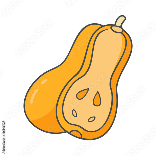 Half butternut squash illustration with seeds and stem on a white background