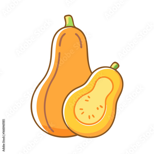 Cartoon Illustration of Butternut Squash Whole and Cut in Half for Recipes