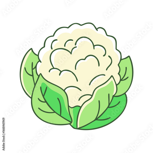 Stylized cauliflower head with vibrant green leaves, isolated on white background