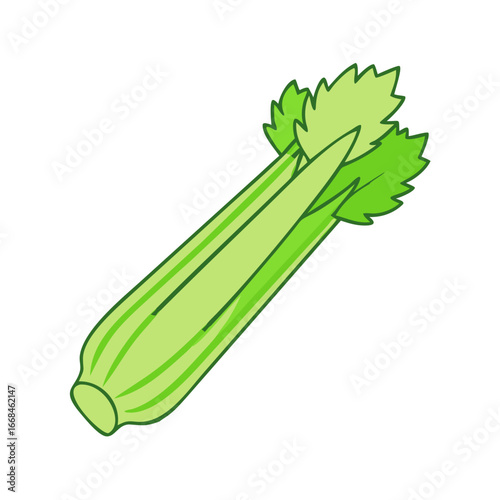 Illustration of a stalk of celery, a crisp and refreshing vegetable