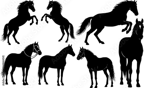 A dynamic collection of powerful horse silhouettes  collection showing rearing jumping and standing poses equine animals