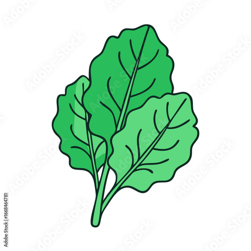 Fresh green leafy vegetables with prominent veins for healthy eating options