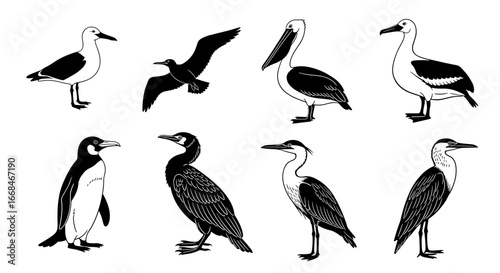 Black and white silhouette compilation of eight bird species