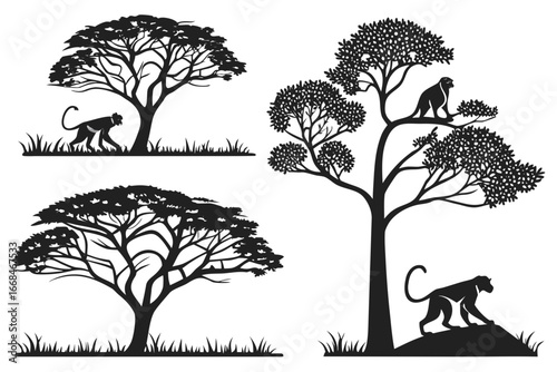 Silhouette of Monkeys and Acacia Trees in African Savanna.