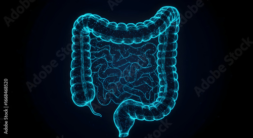 Human Digestive System Intestine Graphic on Dark Background