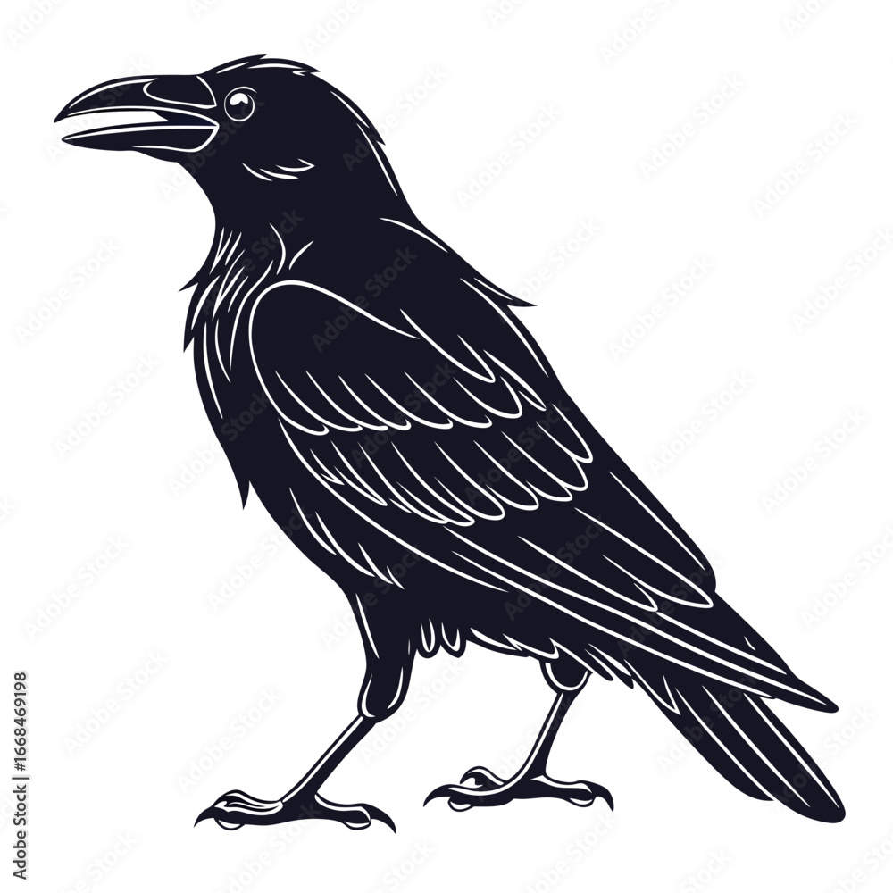 Fototapeta premium crow on a white background