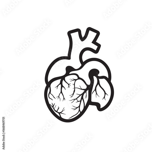Vector art of human heart anatomy illustration with blood vessels, medical symbol