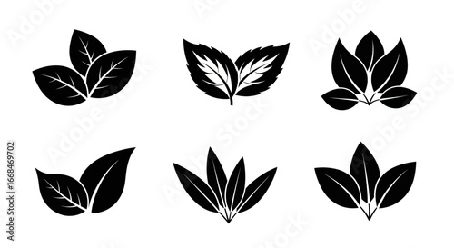 Collection of six stylized black leaf silhouettes, varying in arrangement and shape.