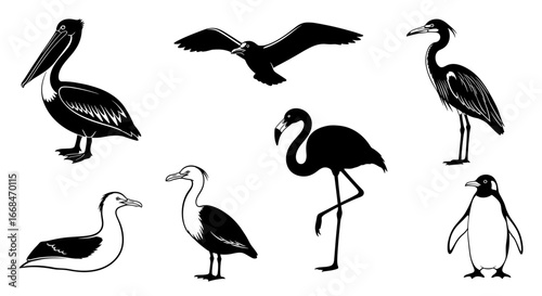 Black and white bird collection showing silhouettes of different species