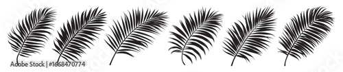 Beautiful palm tree leaf set silhouette background vector illustration. Palm Leaf Silhouette Collection for Nature Design.