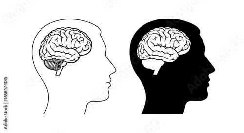 Human head profile showcasing a detailed brain illustration in both outline and solid black silhouette.