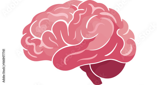 A stylized anatomical illustration of a human brain, rendered in shades of pink.