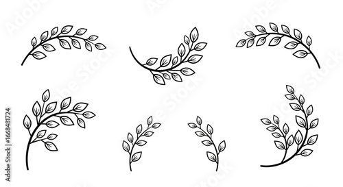 Collection of stylized black and white plant branches, arranged in various elegant curved positions.