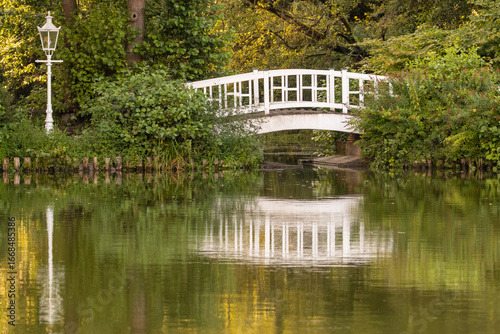 White wooden Bridge over a Pond