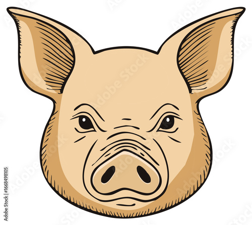Illustration of a stylized pig's head, with a slightly disgruntled expression, featuring details.