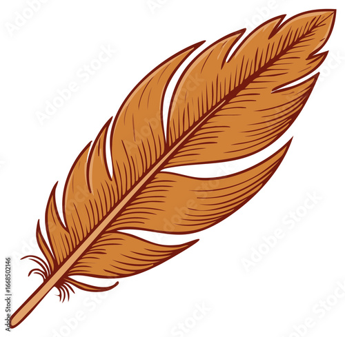 Detailed brown orange feather drawing vector illustration representing lightness and elegance