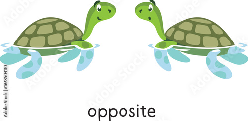 Preposition. Turtles are OPPOSITE each other