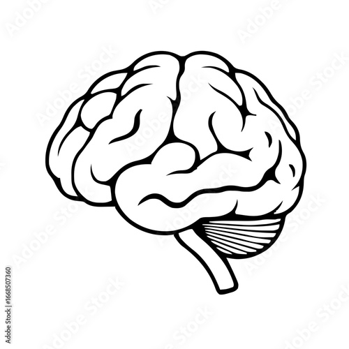 HEALTHCARE – Brain